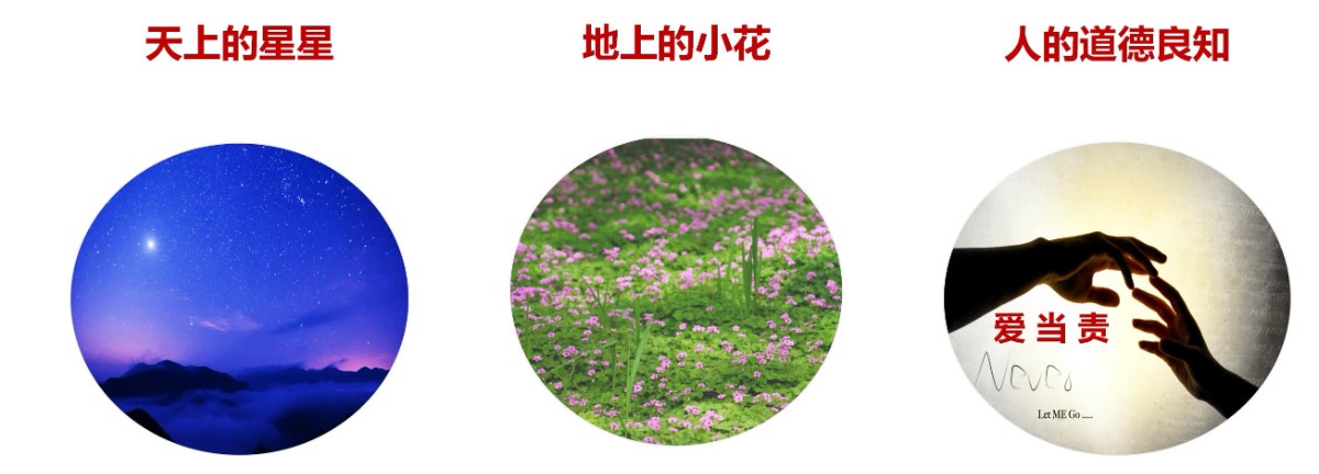 LED照明人如何實現(xiàn)碳中和、碳達峰(11.17)_53